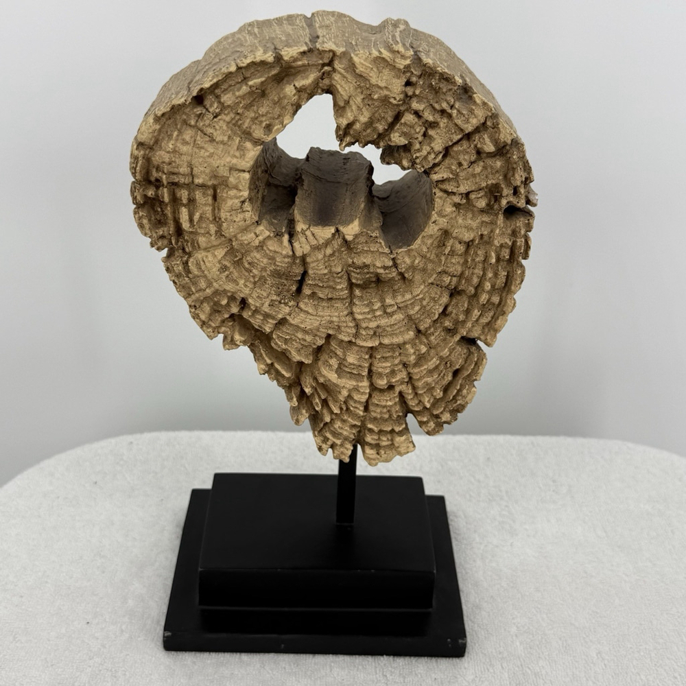 Unbranded Tree Slice Wooden Resin Sculpture Metal Stand Home Decor